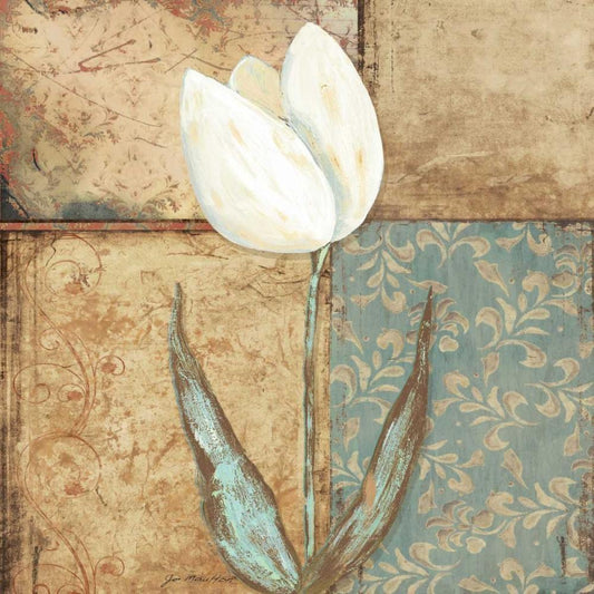 Image Only