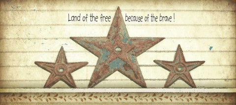 Land of the Free White Modern Wood Framed Art Print with Double Matting by Moulton, Jo