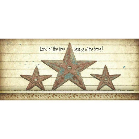 Land of the Free Black Modern Wood Framed Art Print with Double Matting by Moulton, Jo