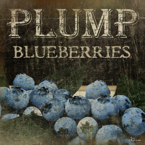 Plump Blueberries Black Ornate Wood Framed Art Print with Double Matting by Pugh, Jennifer