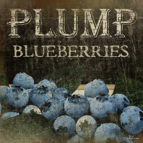 Plump Blueberries White Modern Wood Framed Art Print with Double Matting by Pugh, Jennifer