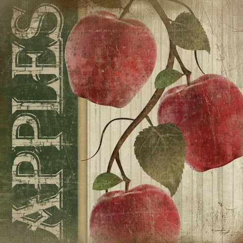 Red Apples White Modern Wood Framed Art Print with Double Matting by Pugh, Jennifer