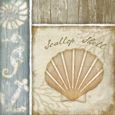 Scallop Shell White Modern Wood Framed Art Print by Pugh, Jennifer
