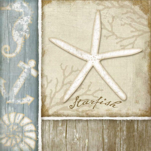 Starfish White Modern Wood Framed Art Print by Pugh, Jennifer