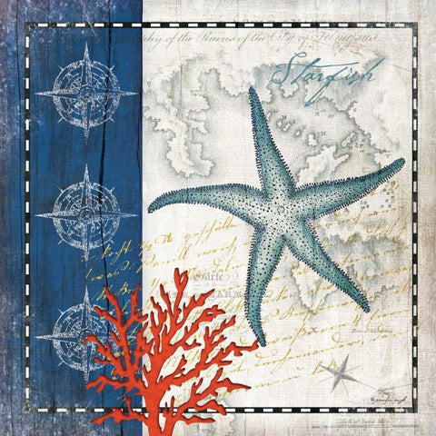 Coastal Blue Starfish Black Modern Wood Framed Art Print with Double Matting by Pugh, Jennifer