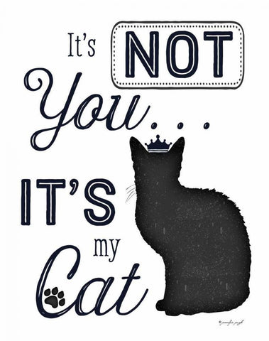 Its Not You - Its My Cat White Modern Wood Framed Art Print with Double Matting by Pugh, Jennifer