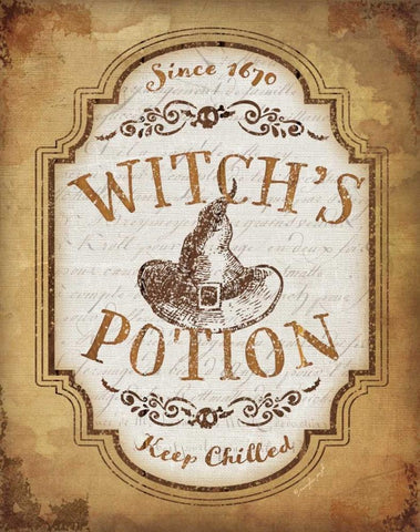 Witchs Potion White Modern Wood Framed Art Print with Double Matting by Pugh, Jennifer