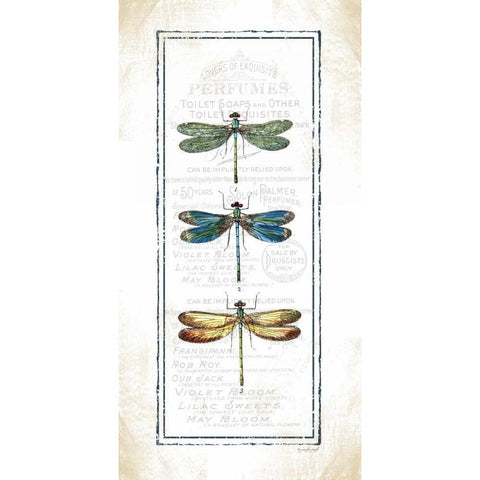 Dragonfly Black Modern Wood Framed Art Print with Double Matting by Pugh, Jennifer