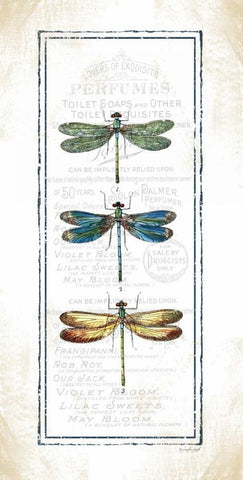 Dragonfly Black Ornate Wood Framed Art Print with Double Matting by Pugh, Jennifer