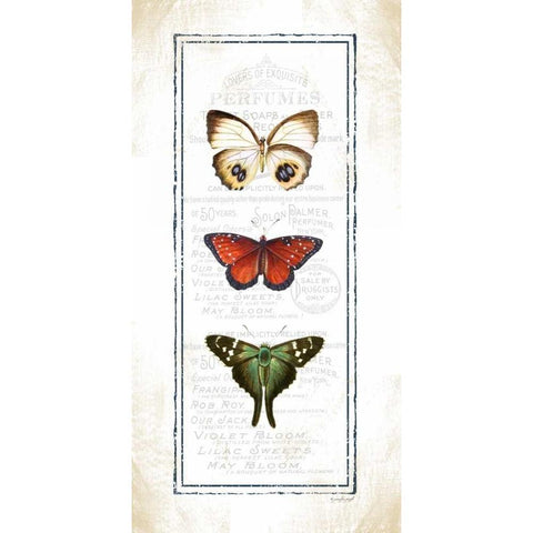 Butterfly White Modern Wood Framed Art Print by Pugh, Jennifer