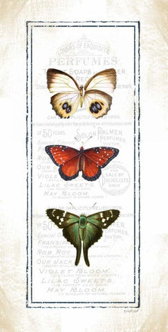 Butterfly Black Ornate Wood Framed Art Print with Double Matting by Pugh, Jennifer