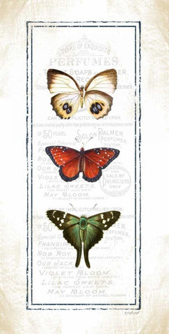 Butterfly White Modern Wood Framed Art Print with Double Matting by Pugh, Jennifer