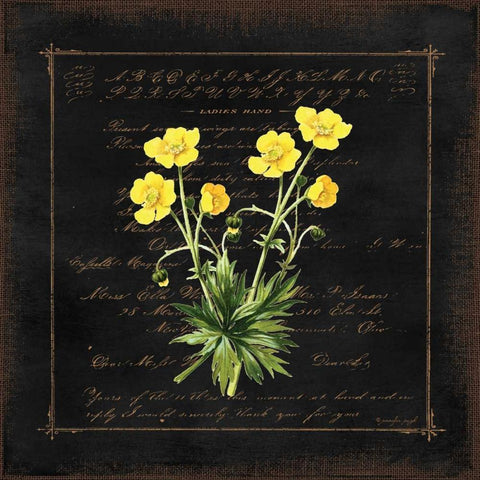 Floral VI Gold Ornate Wood Framed Art Print with Double Matting by Pugh, Jennifer