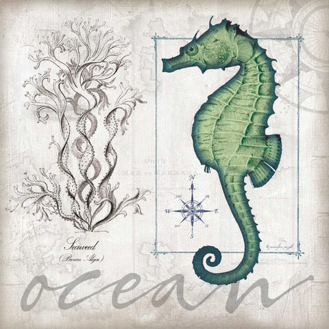 Coastal Seahorse Black Modern Wood Framed Art Print with Double Matting by Pugh, Jennifer