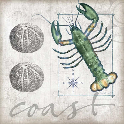 Coastal Lobster Black Modern Wood Framed Art Print by Pugh, Jennifer