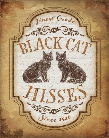 Black Cat Hisses White Modern Wood Framed Art Print with Double Matting by Pugh, Jennifer