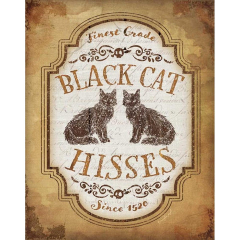 Black Cat Hisses Black Modern Wood Framed Art Print with Double Matting by Pugh, Jennifer