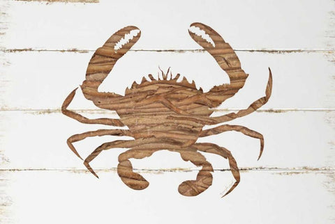 Driftwood Crab White Modern Wood Framed Art Print with Double Matting by Pugh, Jennifer