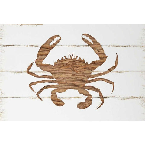 Driftwood Crab White Modern Wood Framed Art Print by Pugh, Jennifer