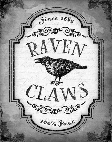 Raven Claws White Modern Wood Framed Art Print with Double Matting by Pugh, Jennifer