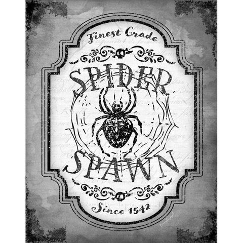 Spider Spawn Black Modern Wood Framed Art Print with Double Matting by Pugh, Jennifer