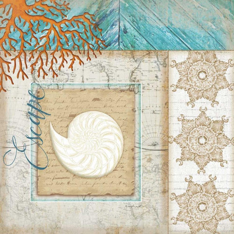 Coastal Nautilus Shell Black Modern Wood Framed Art Print with Double Matting by Pugh, Jennifer