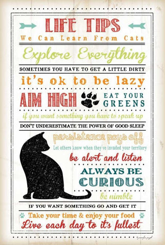 Life Tips - Cats White Modern Wood Framed Art Print with Double Matting by Pugh, Jennifer