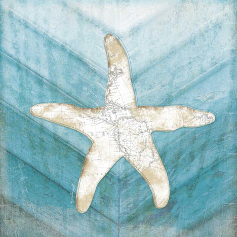 Coastal Starfish Black Modern Wood Framed Art Print with Double Matting by Pugh, Jennifer