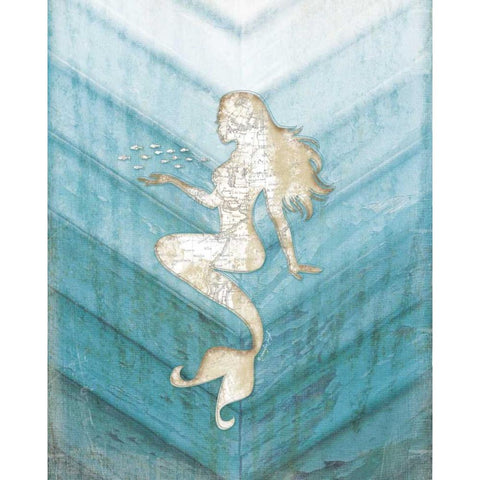 Coastal Mermaid II Black Modern Wood Framed Art Print with Double Matting by Pugh, Jennifer