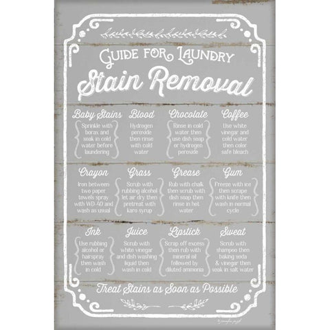 Stain Removal Guide Gold Ornate Wood Framed Art Print with Double Matting by Pugh, Jennifer