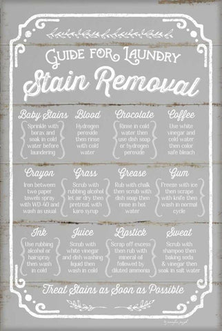 Stain Removal Guide White Modern Wood Framed Art Print with Double Matting by Pugh, Jennifer
