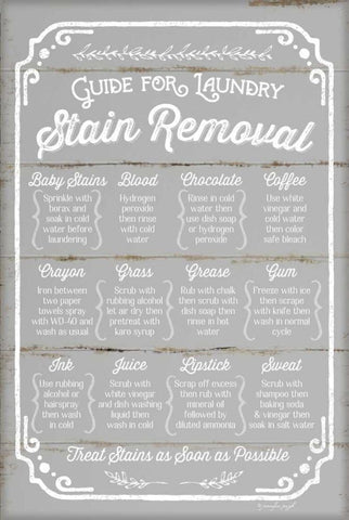 Stain Removal Guide Black Ornate Wood Framed Art Print with Double Matting by Pugh, Jennifer