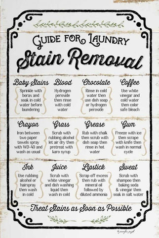 Stain Removal Guide Black Ornate Wood Framed Art Print with Double Matting by Pugh, Jennifer