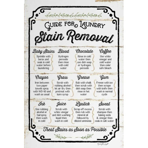 Stain Removal Guide Gold Ornate Wood Framed Art Print with Double Matting by Pugh, Jennifer