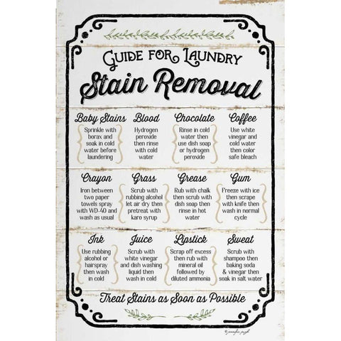 Stain Removal Guide Black Modern Wood Framed Art Print with Double Matting by Pugh, Jennifer