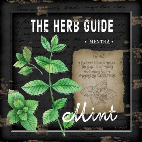 Herb Guide Mint Gold Ornate Wood Framed Art Print with Double Matting by Pugh, Jennifer