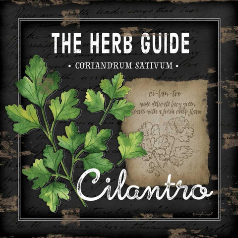 Herb Guide Cilantro Black Modern Wood Framed Art Print by Pugh, Jennifer