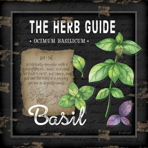 Herb Guide Basil White Modern Wood Framed Art Print with Double Matting by Pugh, Jennifer