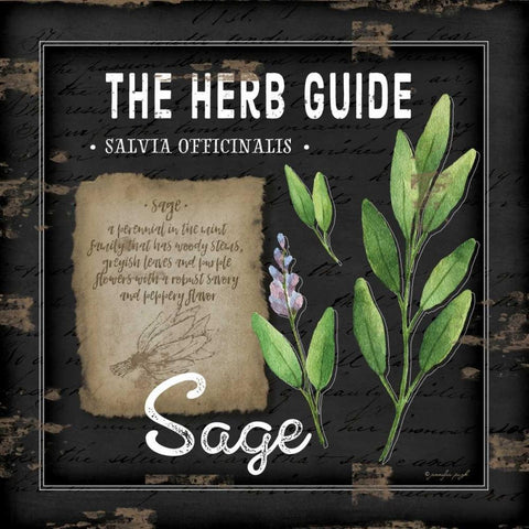 Herb Guide Sage Black Ornate Wood Framed Art Print with Double Matting by Pugh, Jennifer