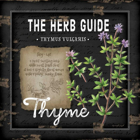 Herb Guide Thyme White Modern Wood Framed Art Print by Pugh, Jennifer