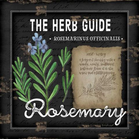 Herb Guide Rosemary Black Modern Wood Framed Art Print with Double Matting by Pugh, Jennifer