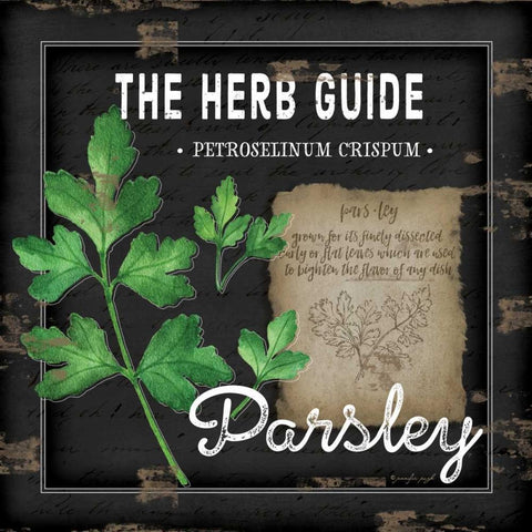 Herb Guide Parsley Black Ornate Wood Framed Art Print with Double Matting by Pugh, Jennifer