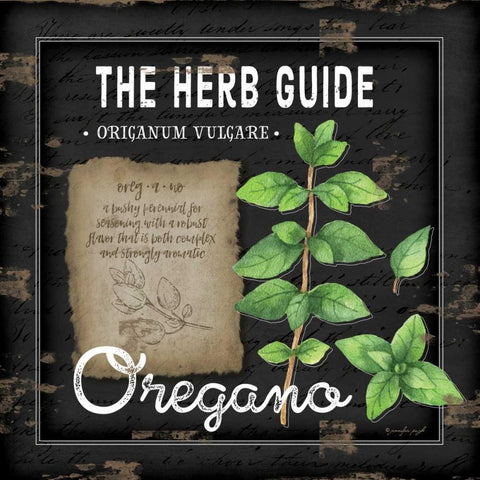 Herb Guide Oregano White Modern Wood Framed Art Print by Pugh, Jennifer