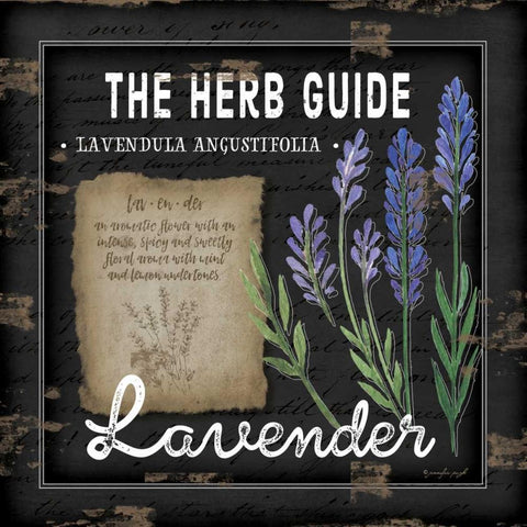 Herb Guide Lavender Black Ornate Wood Framed Art Print with Double Matting by Pugh, Jennifer