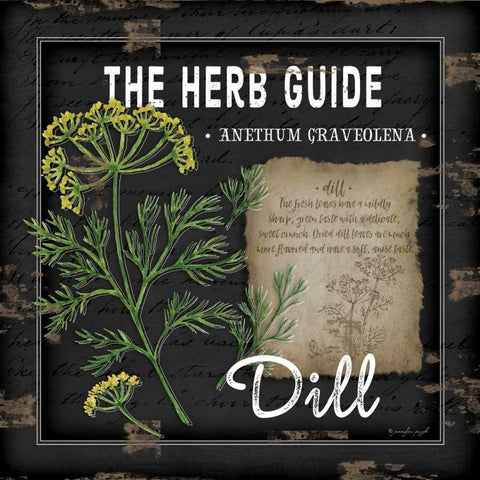 Herb Guide Dill White Modern Wood Framed Art Print by Pugh, Jennifer