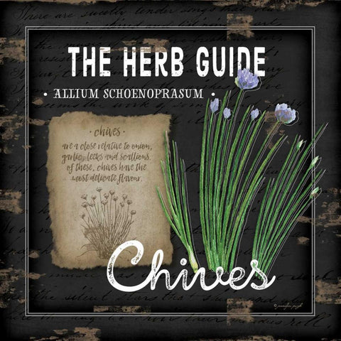 Herb Guide Chives Black Modern Wood Framed Art Print with Double Matting by Pugh, Jennifer