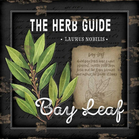 Herb Guide Bay Leaf Black Modern Wood Framed Art Print with Double Matting by Pugh, Jennifer