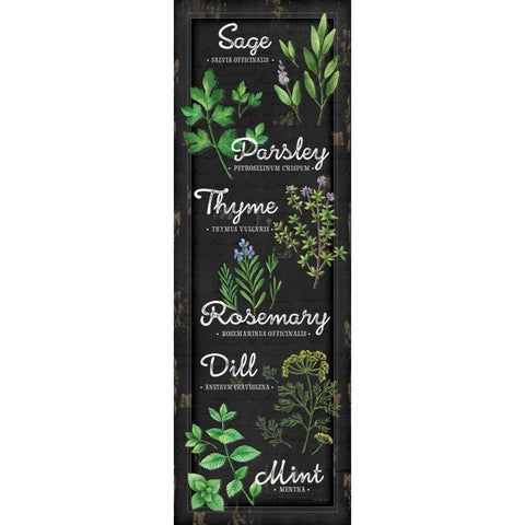 Herbs Black Modern Wood Framed Art Print with Double Matting by Pugh, Jennifer