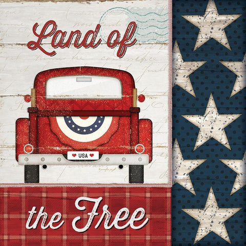 Land of the Free Black Modern Wood Framed Art Print with Double Matting by Pugh, Jennifer