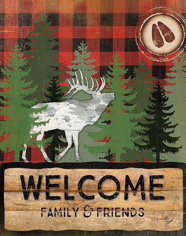 Cabin Welcome Plaid I White Modern Wood Framed Art Print with Double Matting by Pugh, Jennifer